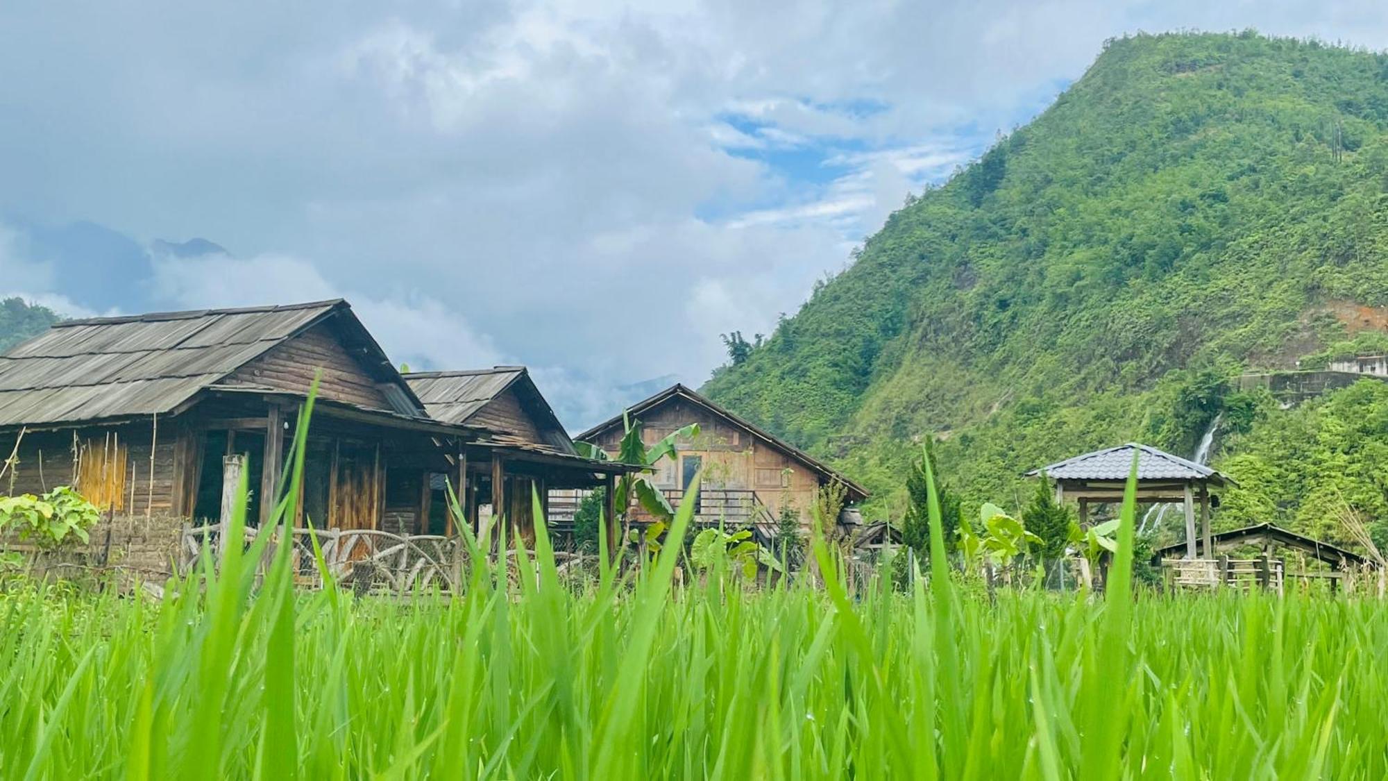 Eco Rice Fields House Vandrarhem Sapa Exteriör bild
