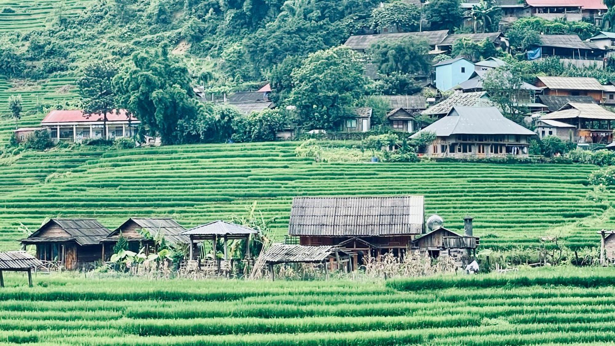Eco Rice Fields House Vandrarhem Sapa Exteriör bild